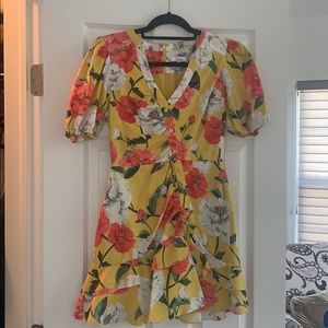 Parker Minna Dress